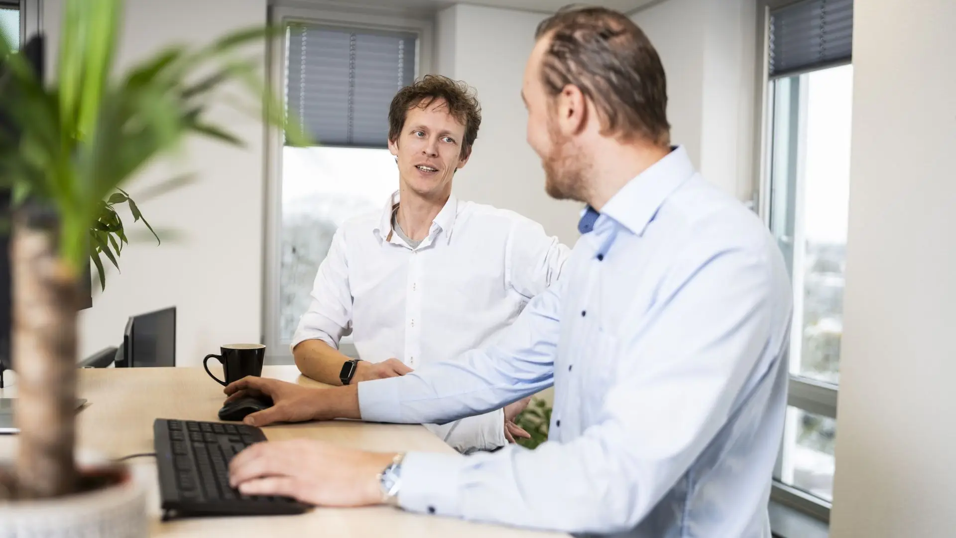 Senior ERP Business Consultant
