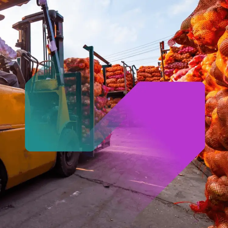 Efficiëntie in elke stap van je logistiek