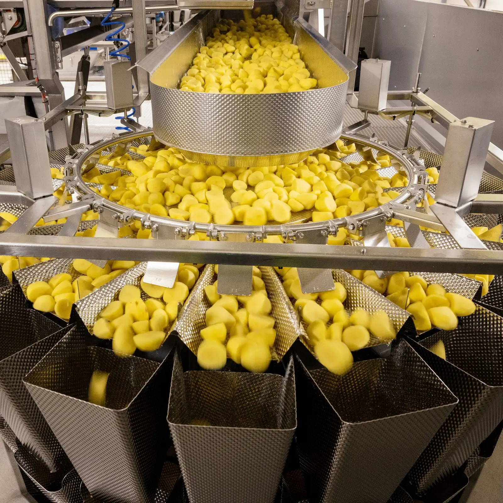 Aardappelenproces van Schaap Holland